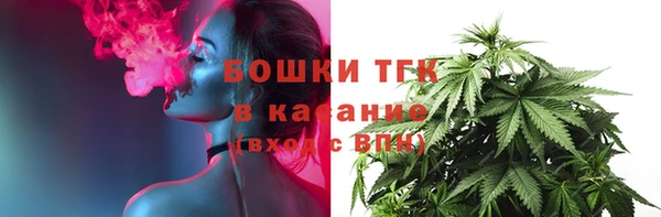 прущие грибы Баксан