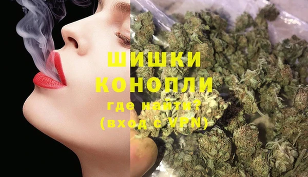 прущие грибы Баксан