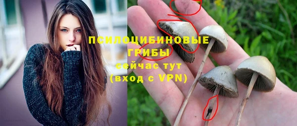 ECSTASY Балахна
