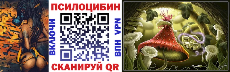 цены наркотик  Белый  Псилоцибиновые грибы Psilocybine cubensis 